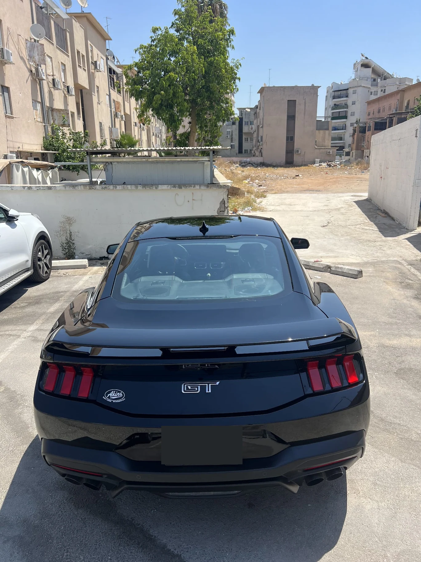 Ford Mustang — תיעוד מצולם