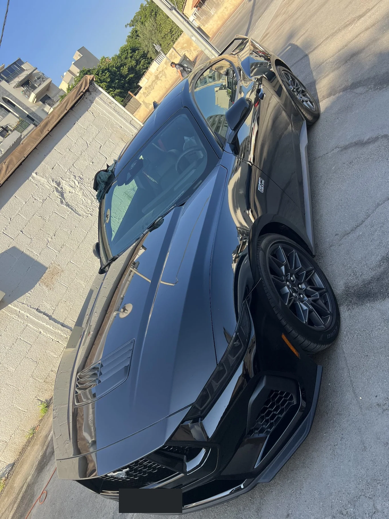 Ford Mustang — תיעוד מצולם